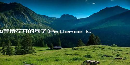 耐心等待花开的句子(Patience is key to waiting for flowers to bloom - Rewrite without symbols A Patient Wait for Blooming Flowers)